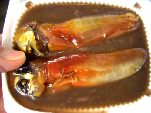 ブリ ワラサ 連釣中 イカ肝臓 肝液漬け 地方発送可 ブリ ワラサ 連釣中 イカ肝臓 肝液漬け 地方発送可